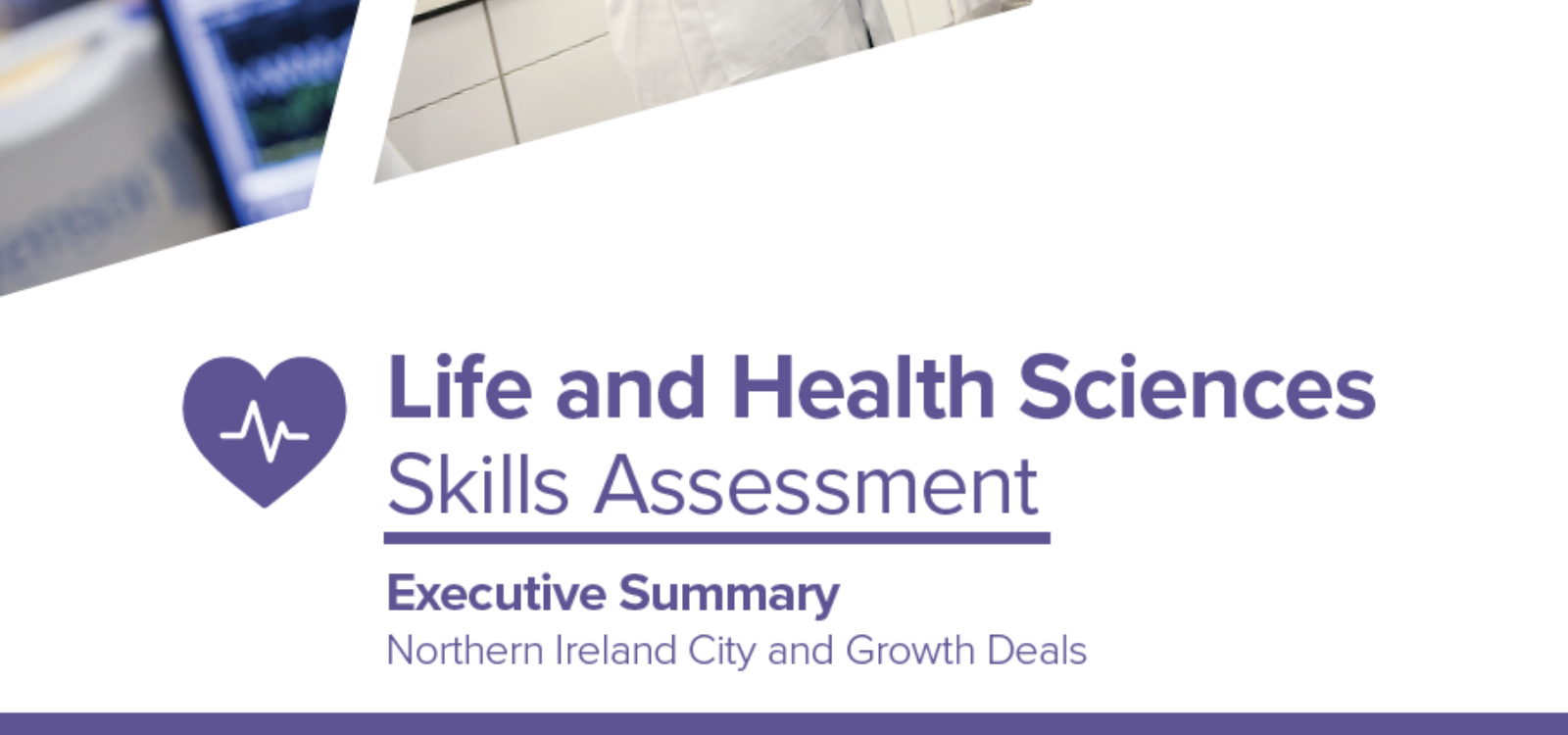Life and Health Sciences Skills Assessment Executive Summary view publication